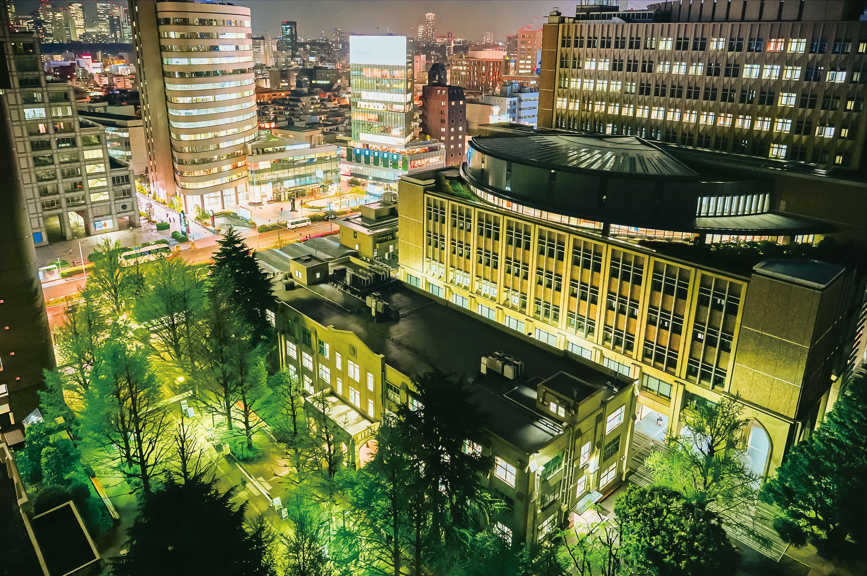 ギャラリー画像