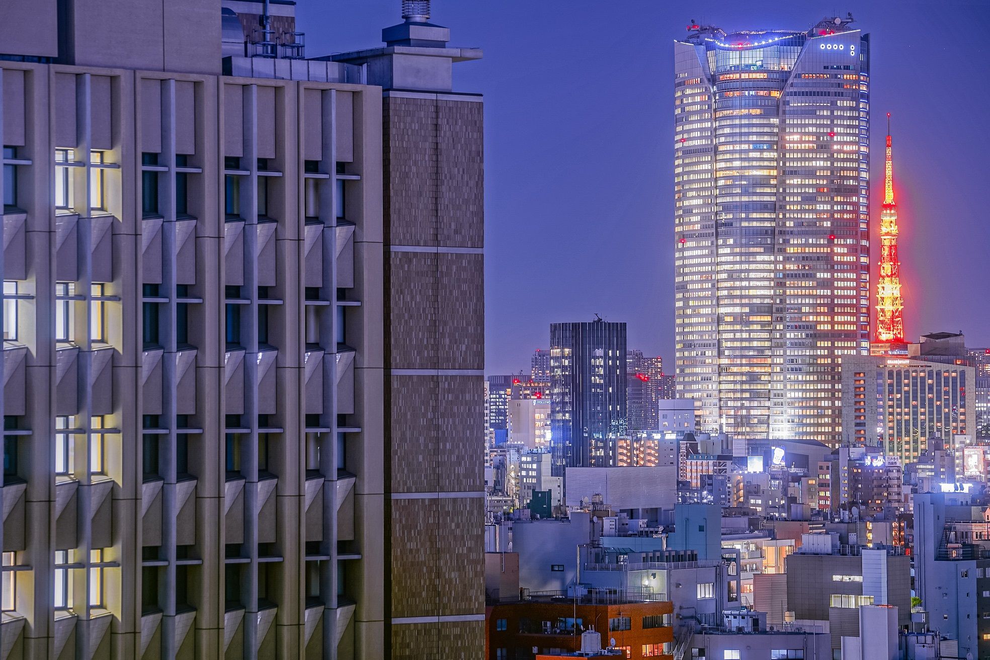 ギャラリー画像