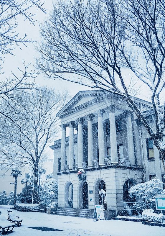 ギャラリー画像